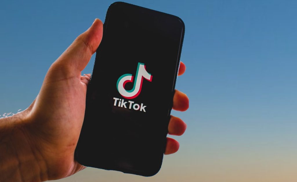 seguidores en TikTok