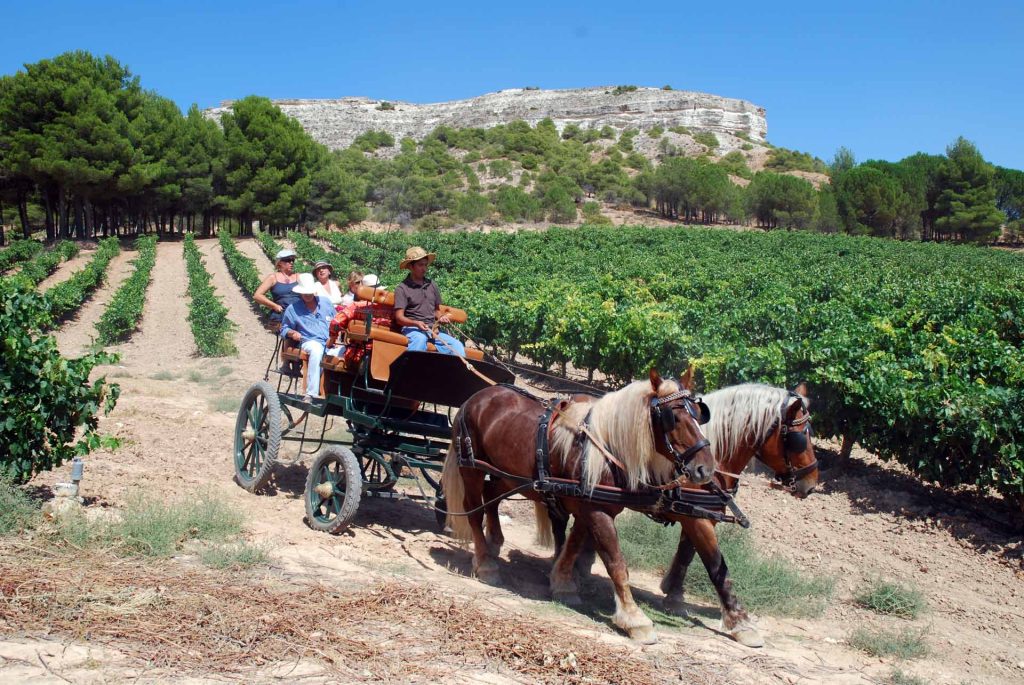 Enoturismo en Ribera del Duero